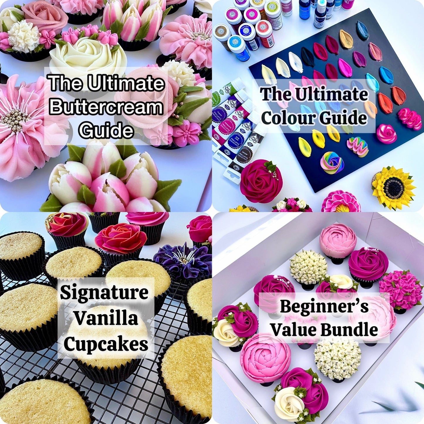 The Ultimate Beginner's Bundle