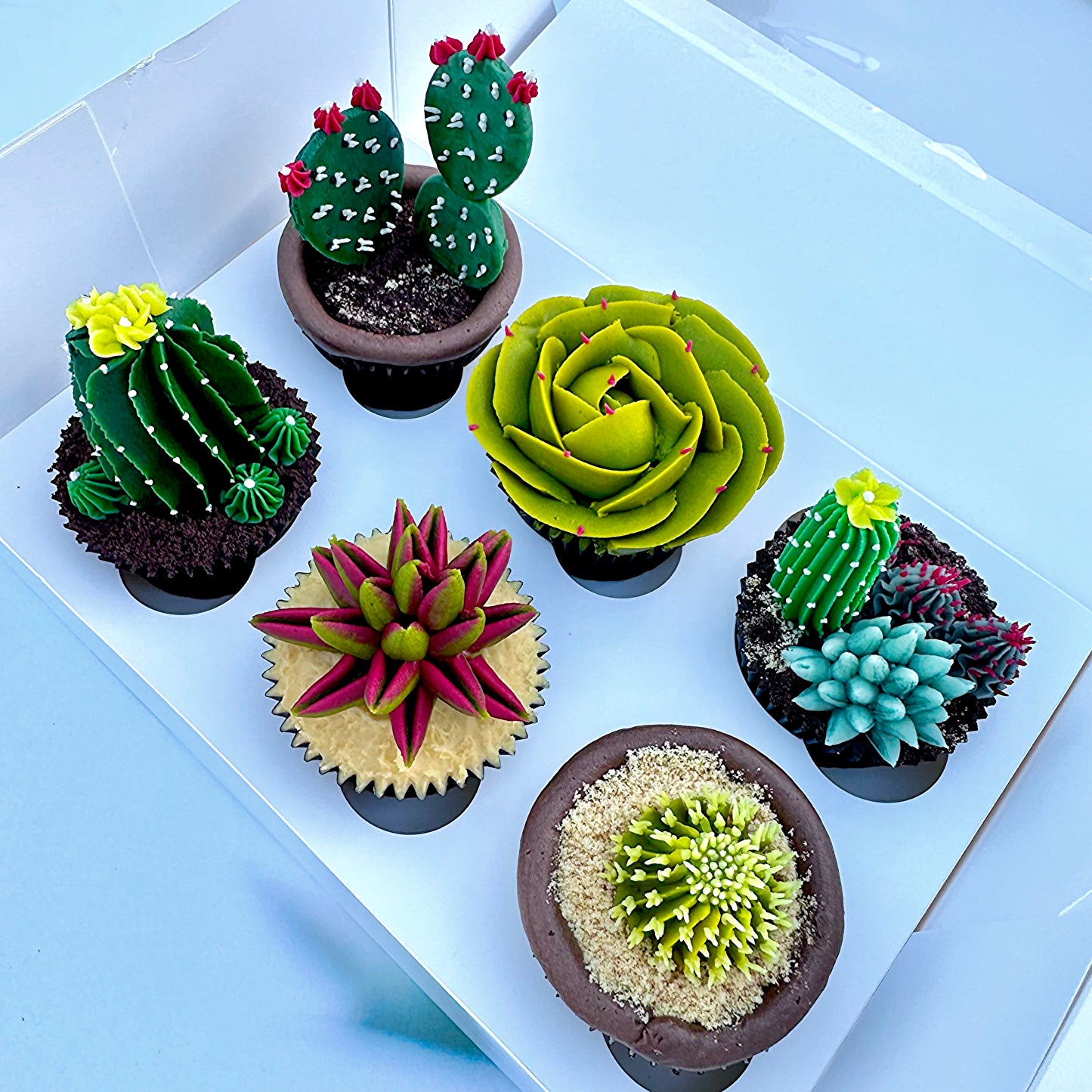 Cactus & Succulent Cupcakes