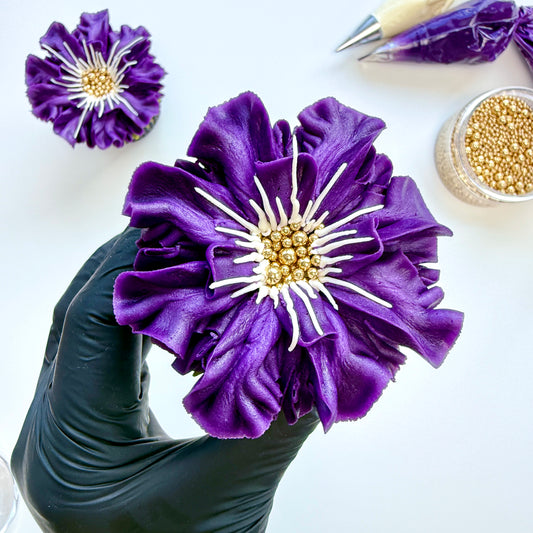 Scabiosa