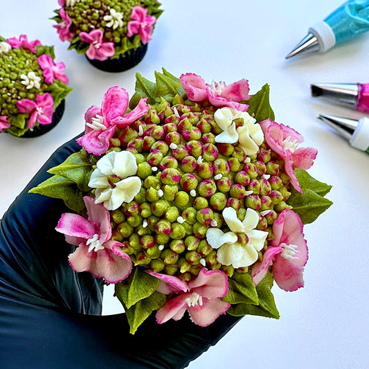 Lacecap Hydrangea