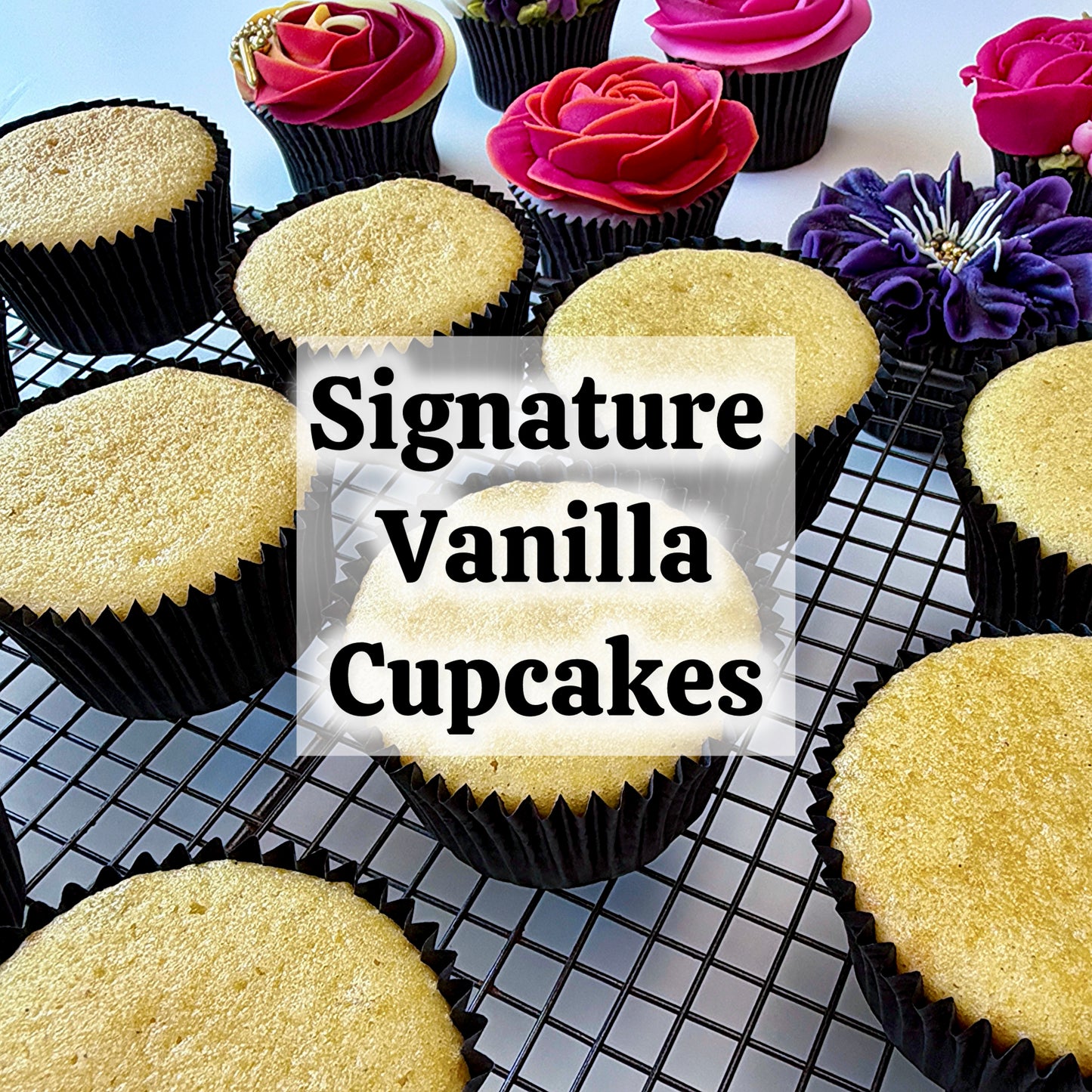 Signature Vanilla Cupcakes