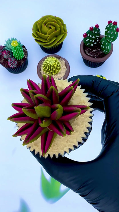 Cactus & Succulent Cupcakes